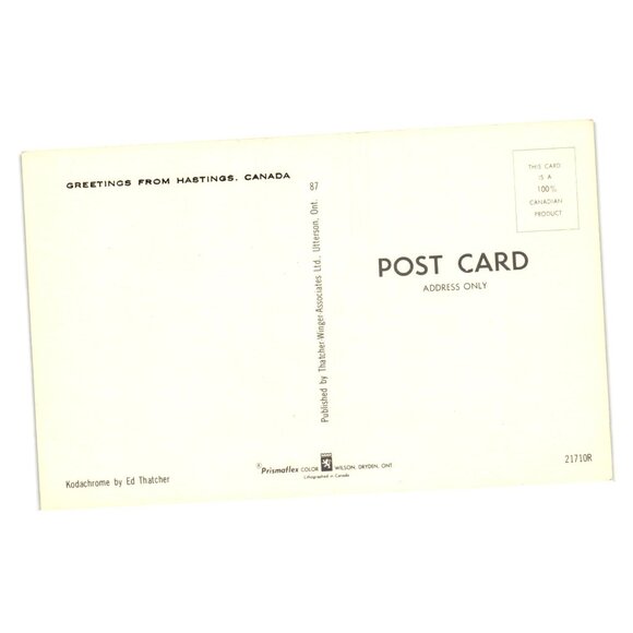 Greetings Hastings Canada Postcard Scenic Nature View Kodachrome By Ed Thatcher - Picture 2 of 2